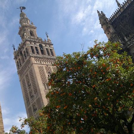 Carlos Apartamento San José de la Rinconada Zewnętrze zdjęcie